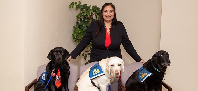 Senator Manka Dhingra smiles while three therapy dogs sit in chairs in front of her